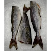 Konserwy i dania rybne - Dorsz czarny tusza świeży produkt rybny - miniaturka - grafika 1