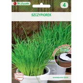 Nasiona i cebule - Nasiona na krążku nasiennym - szczypiorek W.Legutko - miniaturka - grafika 1