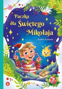 Paczka dla Świętego Mikołaja - Radek Żydonik - Kolorowanki, wyklejanki - miniaturka - grafika 1