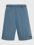 Spodenki damskie - Element Szorty sportowe Cornell ELYNS03001 Niebieski Regular Fit - miniaturka - grafika 1