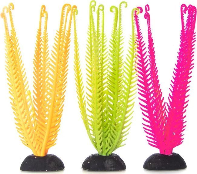 Nobleza Odblaskowe rośliny wodne Odblaskowe rośliny wodne