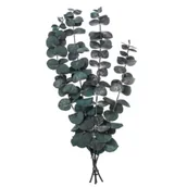 Stroje karnawałowe - Dalprint Eukaliptus baby blue 4 gałązki ok. 20cm zielony - miniaturka - grafika 1