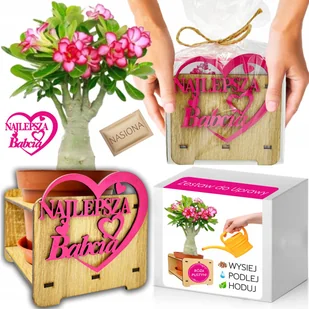 Prezent na DZIEŃ BABCI Róża Pustyni Adenium obesum Zestaw do Uprawy Nasiona - Nasiona i cebule - miniaturka - grafika 1