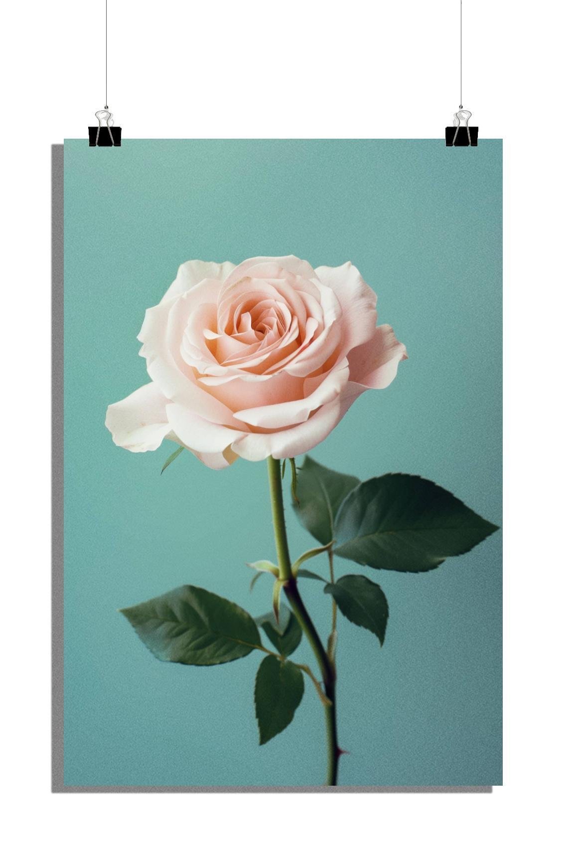 Plakat Róże - Plakat Kwiaty - Plakat Różowe Róże - Elegancki plakat - 61x91cm - Idealny do oprawienia w ramę