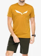 Koszulki i topy damskie - Koszulka z nadrukiem Salewa Solidlogo Dry T-shirt - golden brown - miniaturka - grafika 1