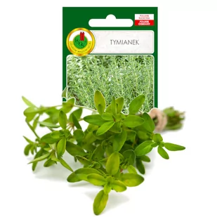 TYMIANEK PRZYPRAWA  ZIOŁA NASIONA ZIÓŁ BEZ GMO - Nasiona i cebule - miniaturka - grafika 1