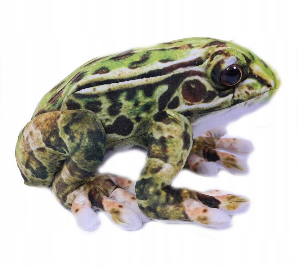 Maskotka Pluszak Żaba 24cm