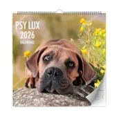 Kalendarze - Kalendarz 2026 ścienny lux psy - miniaturka - grafika 1