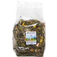 Karma dla gryzoni - FACTORYHERBS Nie Byle Badyle dla Szynszyli i Koszatniczki 1kg - miniaturka - grafika 1