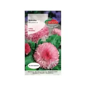 Nasiona i cebule - Nasiona Stokrotka wielkokwiatowa różowa 0,3g - Torseed - miniaturka - grafika 1