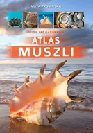 Albumy inne - Atlas muszli - miniaturka - grafika 1