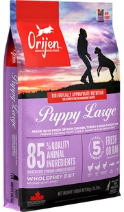 Orijen Puppy Large Breed 6 kg - Sucha karma dla psów - miniaturka - grafika 1
