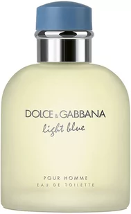 Dolce&Gabbana Light Blue pour Homme Woda toaletowa 40ml - Wody i perfumy męskie - miniaturka - grafika 1