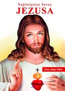 Religia i religioznawstwo - Najświętsze Serce Jezusa - miniaturka - grafika 1