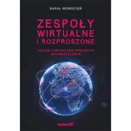 Zarządzanie - Zespoły wirtualne i rozproszone. Zdalne zarządzanie projektem informatycznym - miniaturka - grafika 1