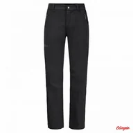 Odzież trekkingowa damska - Spodnie Męskie Softshell Jack Wolfskin ACTIVATE XT PANTS black - miniaturka - grafika 1