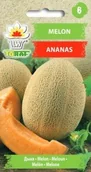 Nasiona i cebule - Melon Ananas nasiona warzywa 1g TORAF - miniaturka - grafika 1