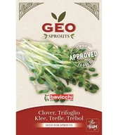 Zdrowa żywność - Koniczyna - nasiona na kiełki GEO, certyfikowane, 40g, Bavicchi - miniaturka - grafika 1