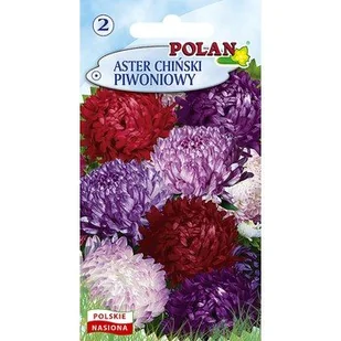 Aster Chiński Piwoniowy - Mieszanka Polan - Nasiona i cebule - miniaturka - grafika 1