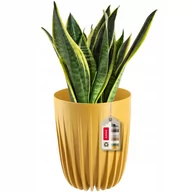 Donice - Doniczka Osłonka + Wkładka Musztardowa 25X30Cm - miniaturka - grafika 1