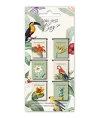 Zakładki do książek - Szara Zakładki Magnetyczne - Jaki jest Bóg - Ptaki - gadżet - miniaturka - grafika 1