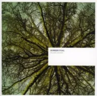 Muzyka elektroniczna - Fallen Arches Sunken Foal Płyta CD) - miniaturka - grafika 1