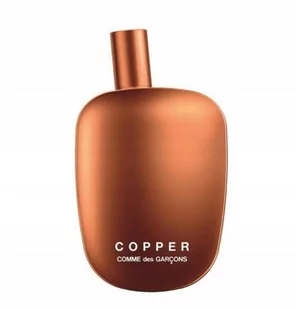 Comme Des Garcons Comme Cooper Edp 100ml - Wody i perfumy męskie - miniaturka - grafika 1