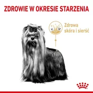 Sucha karma dla psów - Royal Canin Yorkshire Terrier Adult 8+ 0,5 kg - miniaturka - grafika 1