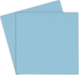 Thermal Grizzly Minus Pad Pro - 100 x 100 x 1,0 mm TG-MP-P-100-100-10 - Pasty i materiały termoprzewodzące - miniaturka - grafika 1