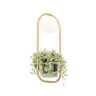 Lampy ścienne - QAZQA Kinkiet Art Deco złoty z białym szkłem - Isabella - miniaturka - grafika 1