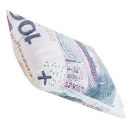 Poduszki dekoracyjne - Poduszka STÓWKA 100 PLN - miniaturka - grafika 1