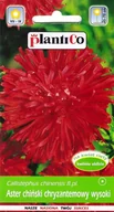 Nasiona i cebule - Aster chiński chryzantemowy wysoki czerwony nasiona 1g PlantiCo - miniaturka - grafika 1