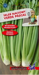 Seler naciowy Verde Pascal nasiona 0,5g / O / - Nasiona i cebule - miniaturka - grafika 1