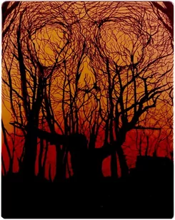 Friday the 13th (Piątek trzynastego) (steelbook) - Horrory Blu-Ray - miniaturka - grafika 1