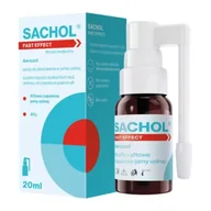 Problemy skórne - BAUSCH HEALTH IRELAND LIMITED Sachol Fast Effect Aerozol 20 ml - miniaturka - grafika 1
