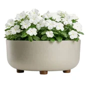 Donice - Misa TERRA na nóżkach recykling beż h14,4x29,7 cm - miniaturka - grafika 1