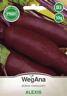 Nasiona i cebule - Burak ćwikłowy Alexis 10g nasiona - WegAna - miniaturka - grafika 1