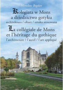 Kolegiata w Mons a dziedzictwo gotyku - Archeologia - miniaturka - grafika 1