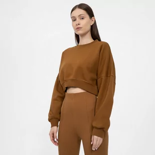 Damska bluza nierozpinana crop-top 4F 4FAW22TSWSF418 - brązowa - Bluzy sportowe damskie - miniaturka - grafika 1