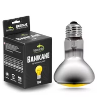 Akcesoria do terrarium - TERRARIO BANIKANE NEODYMIUM LIGHT - ŻARÓWKA GRZEWCZA NEODYMOWA 75W - miniaturka - grafika 1