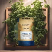 Suplementy naturalne - TwojCelTo Magnez + Witamina B6 100 tabletek - miniaturka - grafika 1