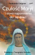 Religia i religioznawstwo - Esprit Czułość Maryi i słowa napomnienia dla Jej dzieci - miniaturka - grafika 1