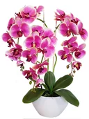 Sztuczne kwiaty - STORCZYK SZTUCZNY KWIATY ORCHIDEA 3P guma jak żywy - miniaturka - grafika 1