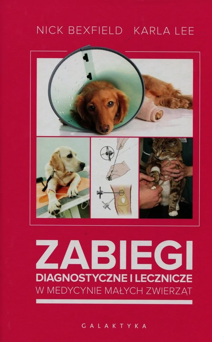 Galaktyka - wyd.weterynaryjne Zabiegi diagnostyczne i lecznicze w medycynie małych zwierząt - Bexfield Nick, Lee Karla