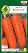Nasiona i cebule - Marchew jadalna Berlikumer 2 500 g PNOS - miniaturka - grafika 1
