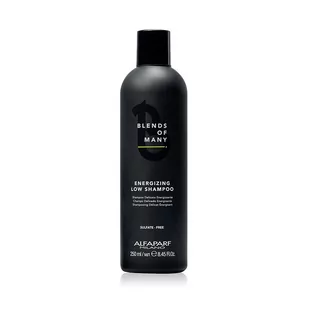Alfaparf Blends Of Many energetyzujący szampon do włosów dla mężczyzn 250ml 2493 - Szampony dla mężczyzn - miniaturka - grafika 1