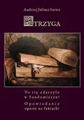 Horror, fantastyka grozy - Strzyga. To się zdarzyło w Sandomierzu! Opowiadanie oparte na faktach! - miniaturka - grafika 1