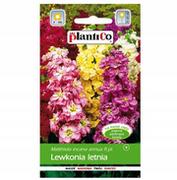 Nasiona i cebule - Plantico Lewkonia letnia mix - miniaturka - grafika 1