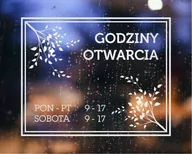 Naklejki na drzwi i meble - Naklejka mrożone szkło: Godziny otwarcia Gałązki - miniaturka - grafika 1