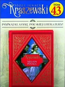 Czasopisma - Józef Ignacy Kraszewski Tom 43 - miniaturka - grafika 1